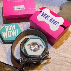 Jewelry for your special dog